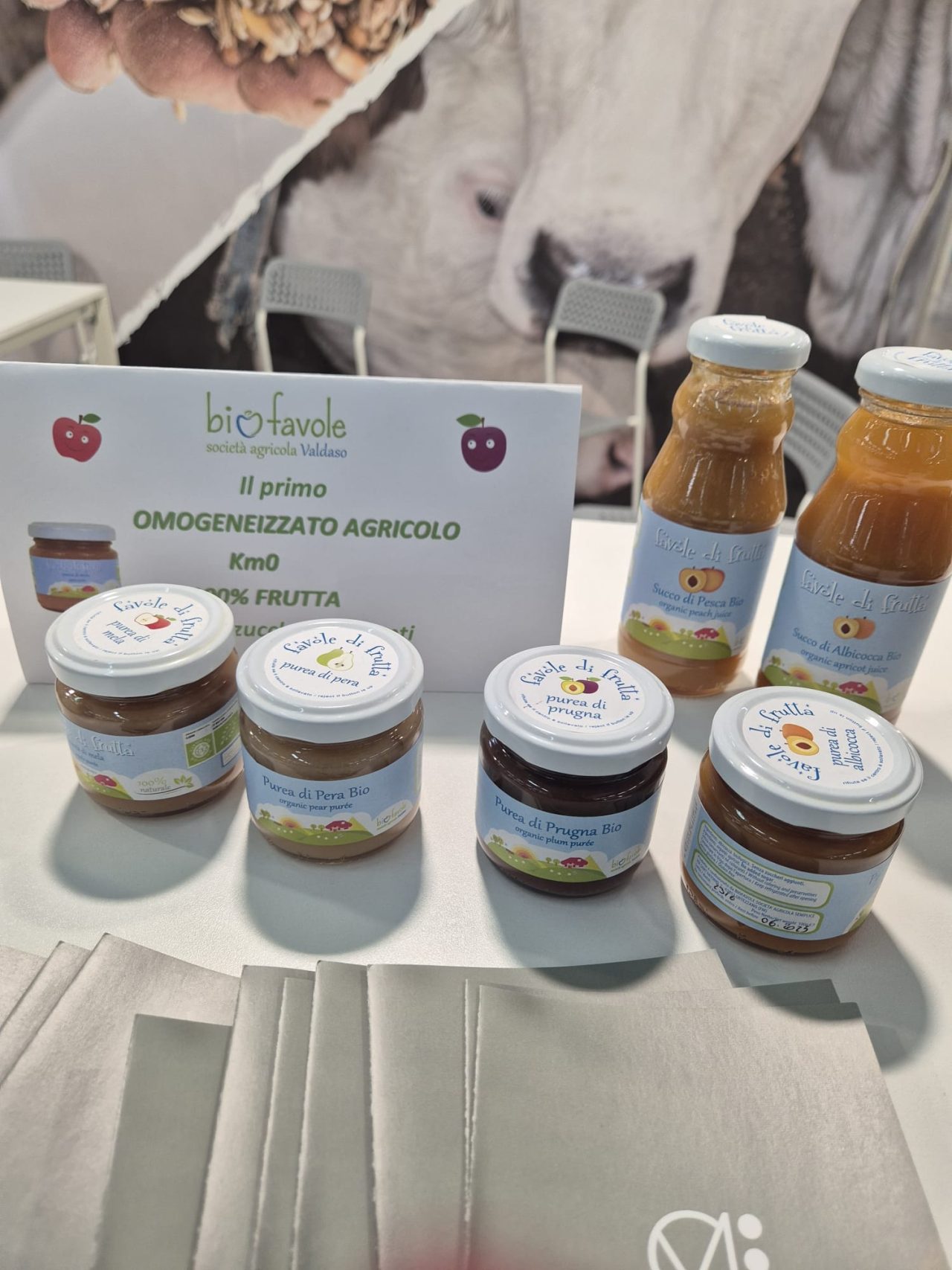 431416516_386373280816549_924104831893082430_n