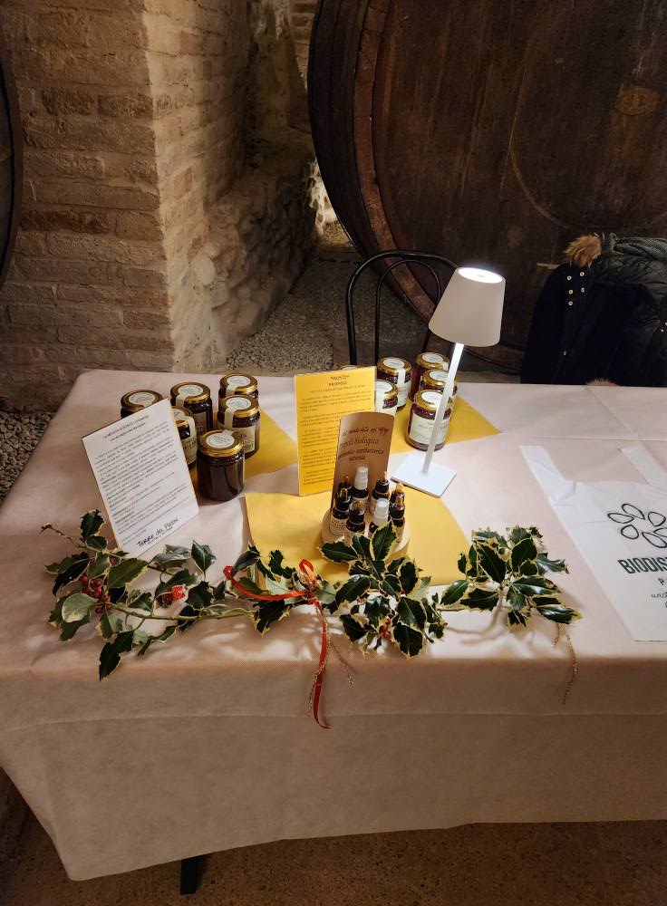 469009772_562195073234368_4776570860046375579_n