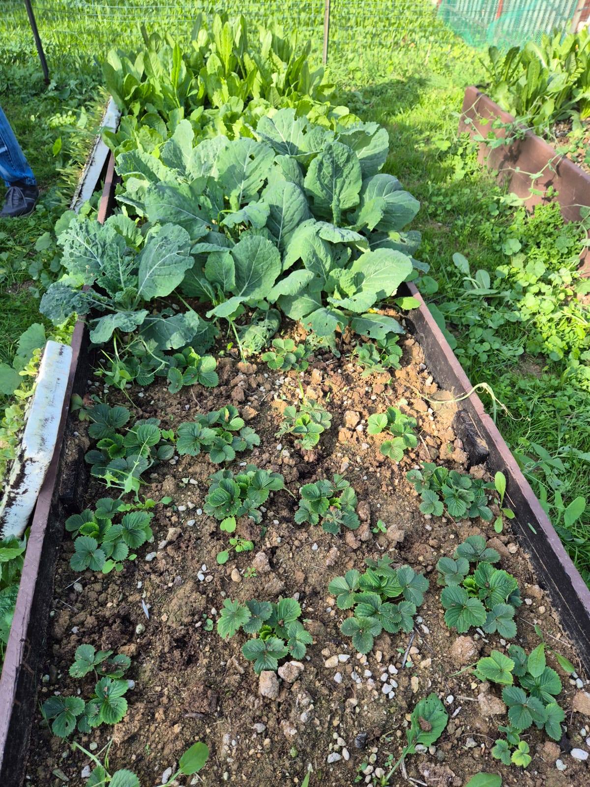 469078984_563696073084268_1157810302351382396_n