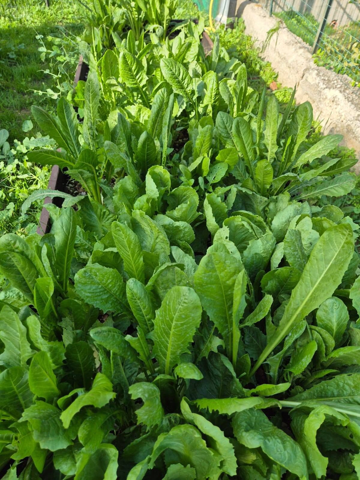 469166490_563696009750941_332011182008652413_n