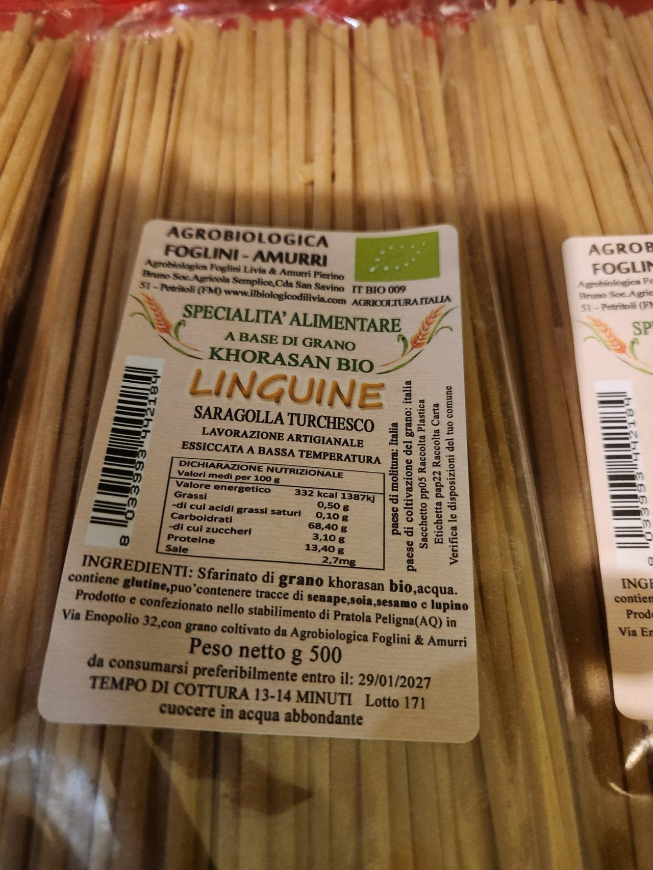 469386576_1081944177056692_6235219014465662962_n