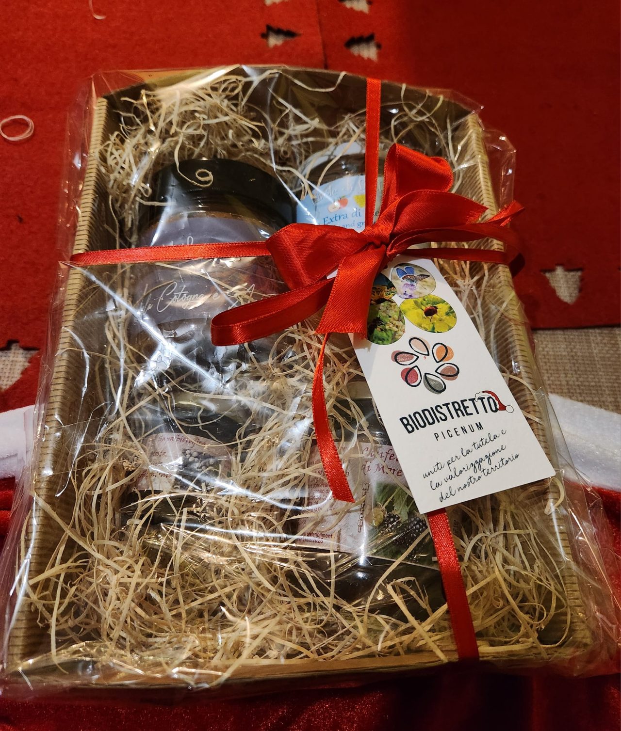 469795541_1081914900392953_8322216795016895418_n