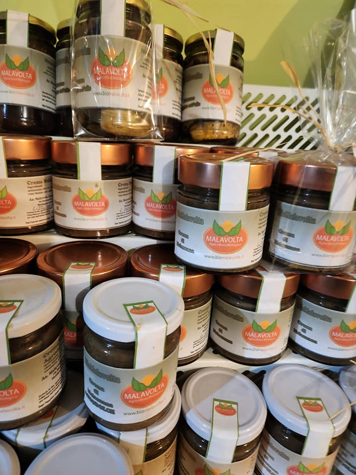 469861434_1081943203723456_3151304331173551618_n