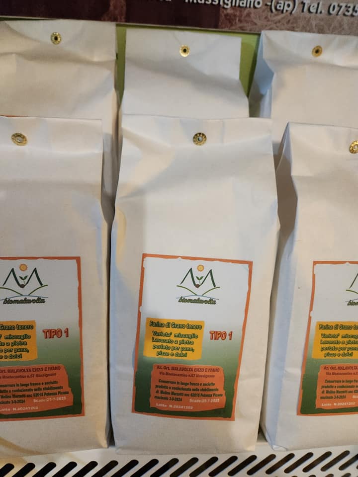 469891327_1081943180390125_1139423752956860114_n