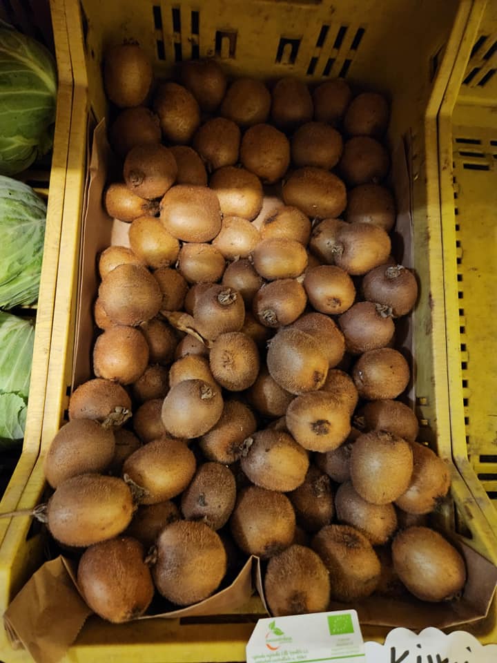 469924819_1081943320390111_7012862589044517347_n