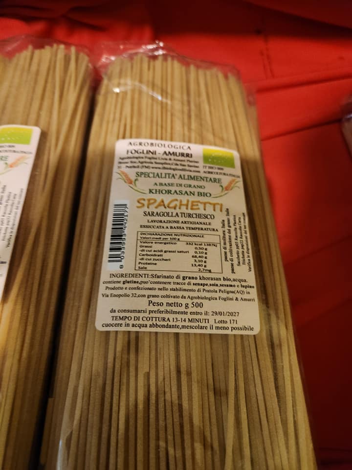 469983633_1081943107056799_2038216478724845661_n