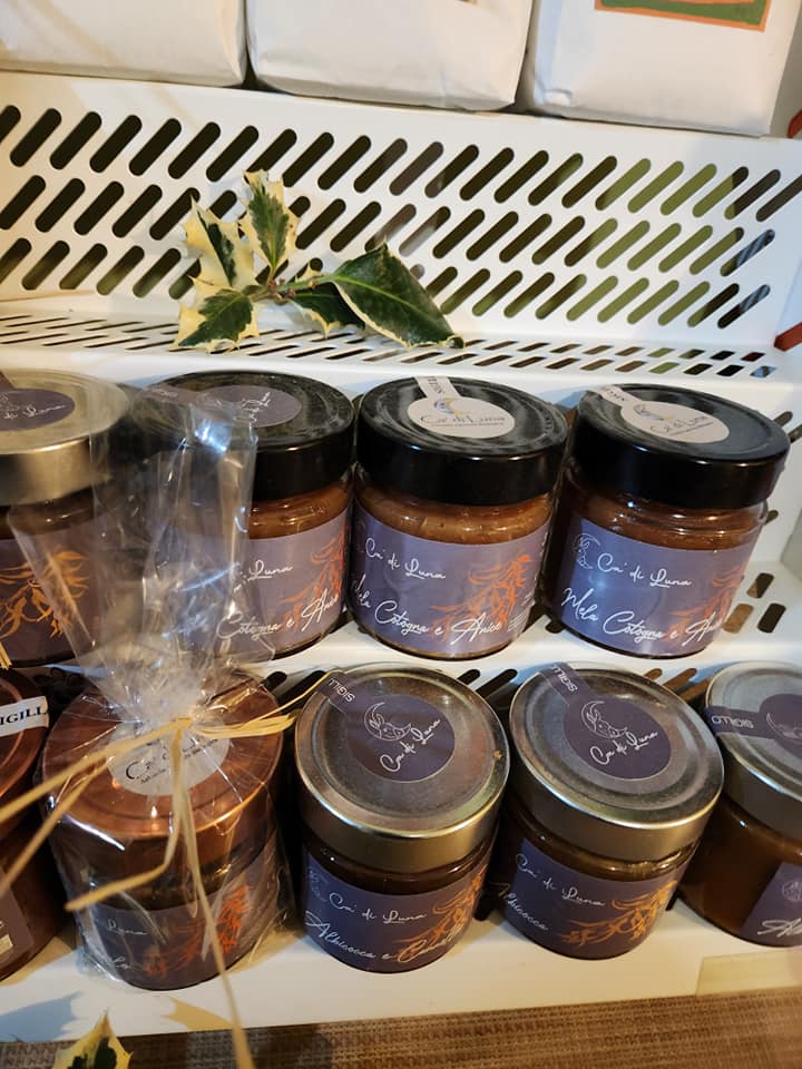 469983878_1081943250390118_5201425495336409371_n