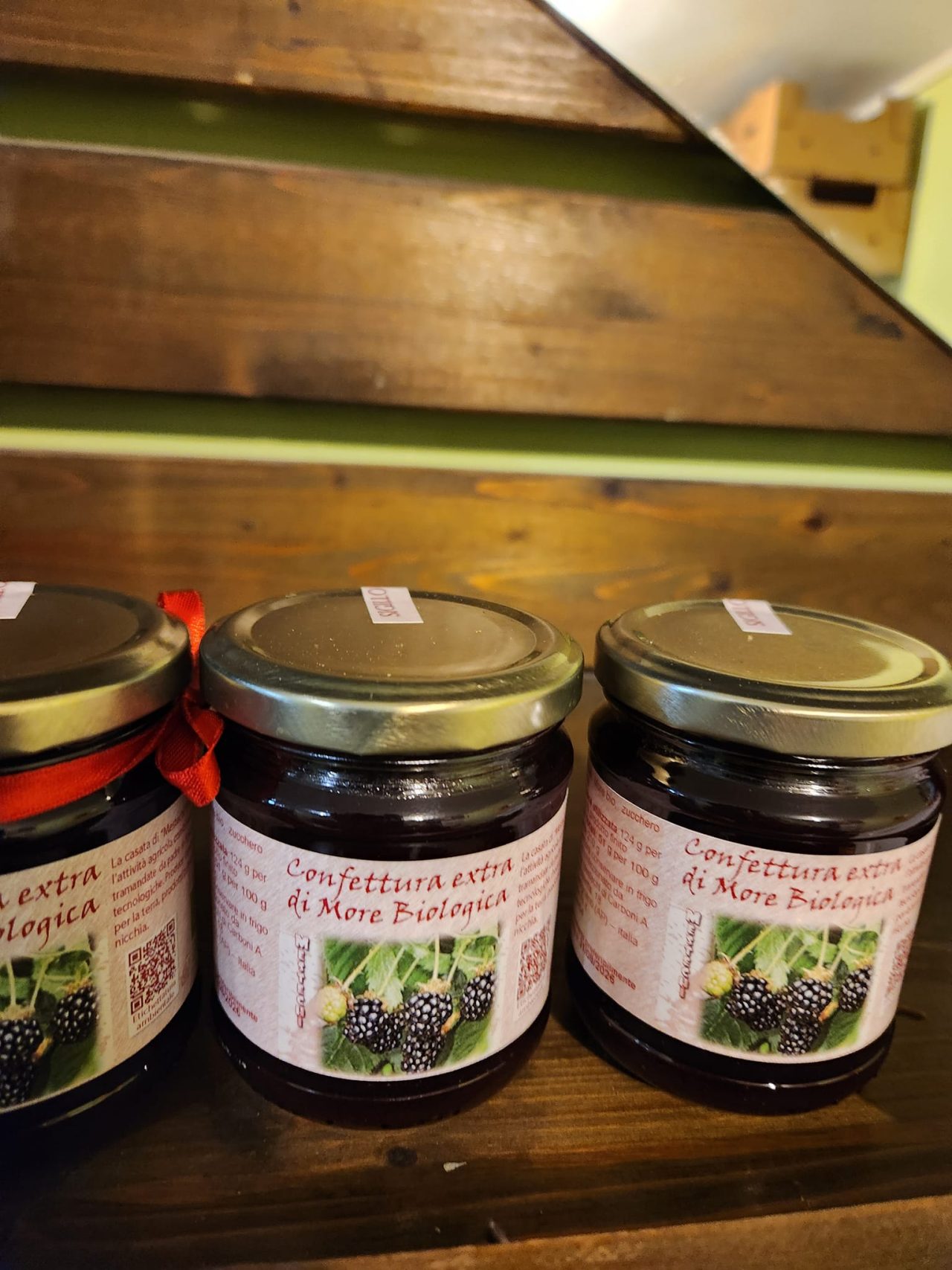 470016900_1081943593723417_7299177765383585458_n