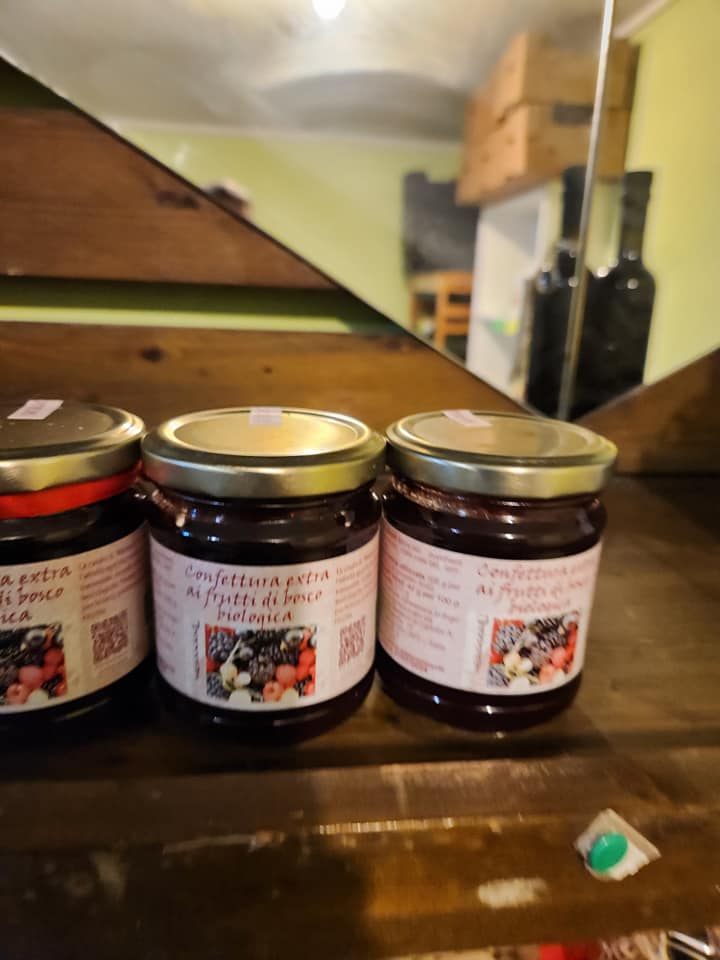 470042216_1081943047056805_1265018633572218336_n