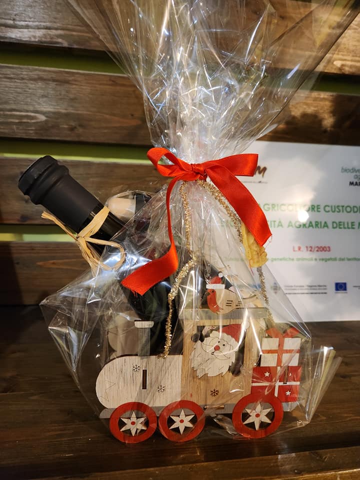 470063541_1081943270390116_1635791248529203710_n