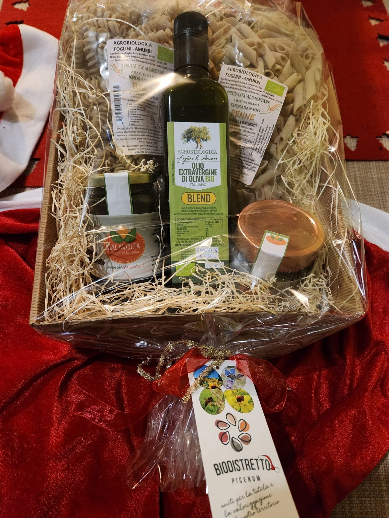 470175461_1081915037059606_3580108705259186277_n