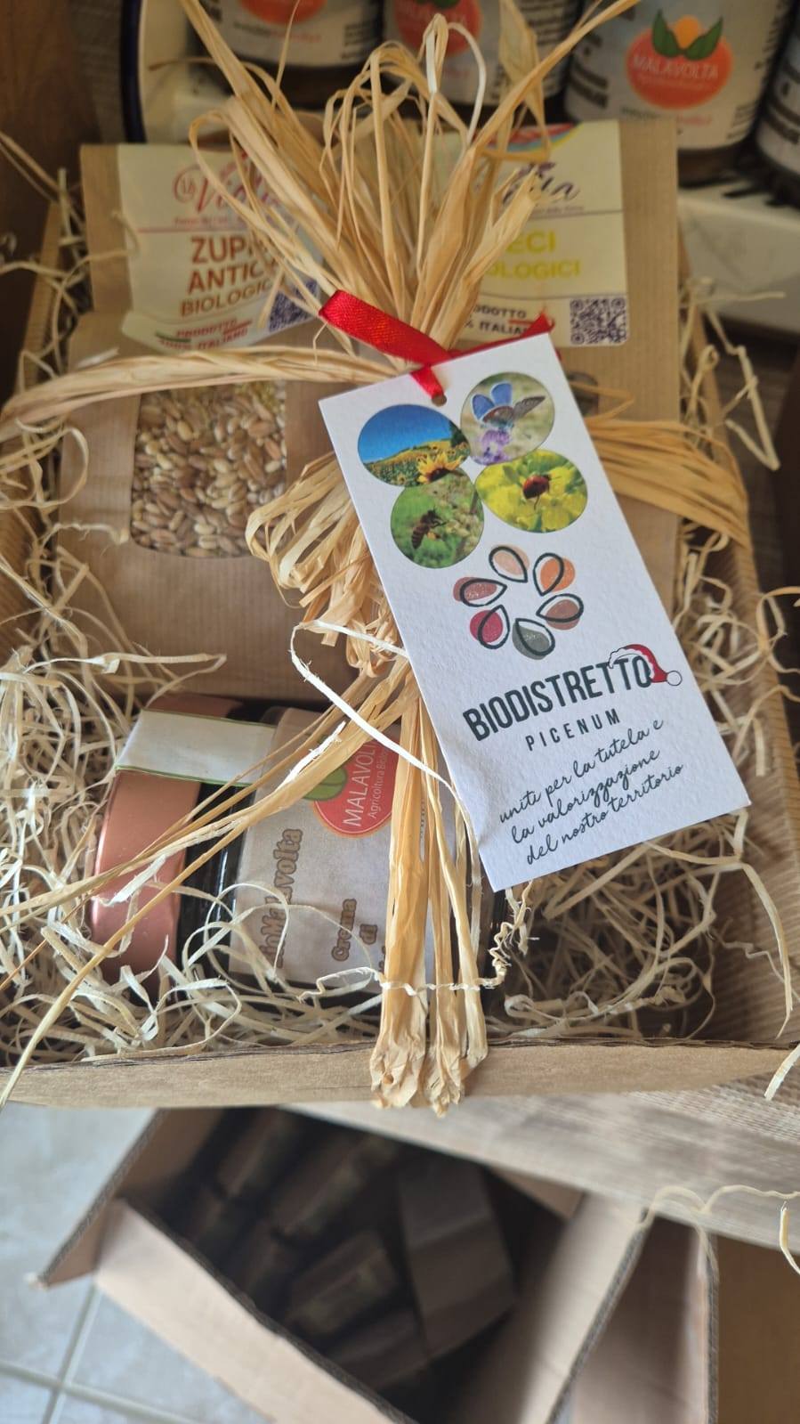 470176354_569910689129473_4381674274736065381_n