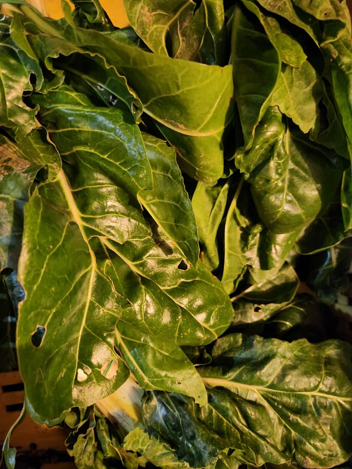 470192161_1081943490390094_715841071821769593_n