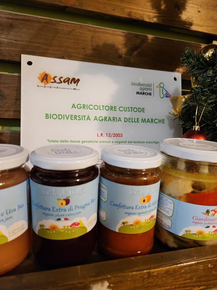 470207502_1081943293723447_8096193295042404616_n