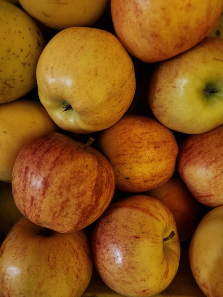 470281231_1081943467056763_2114110486317033551_n