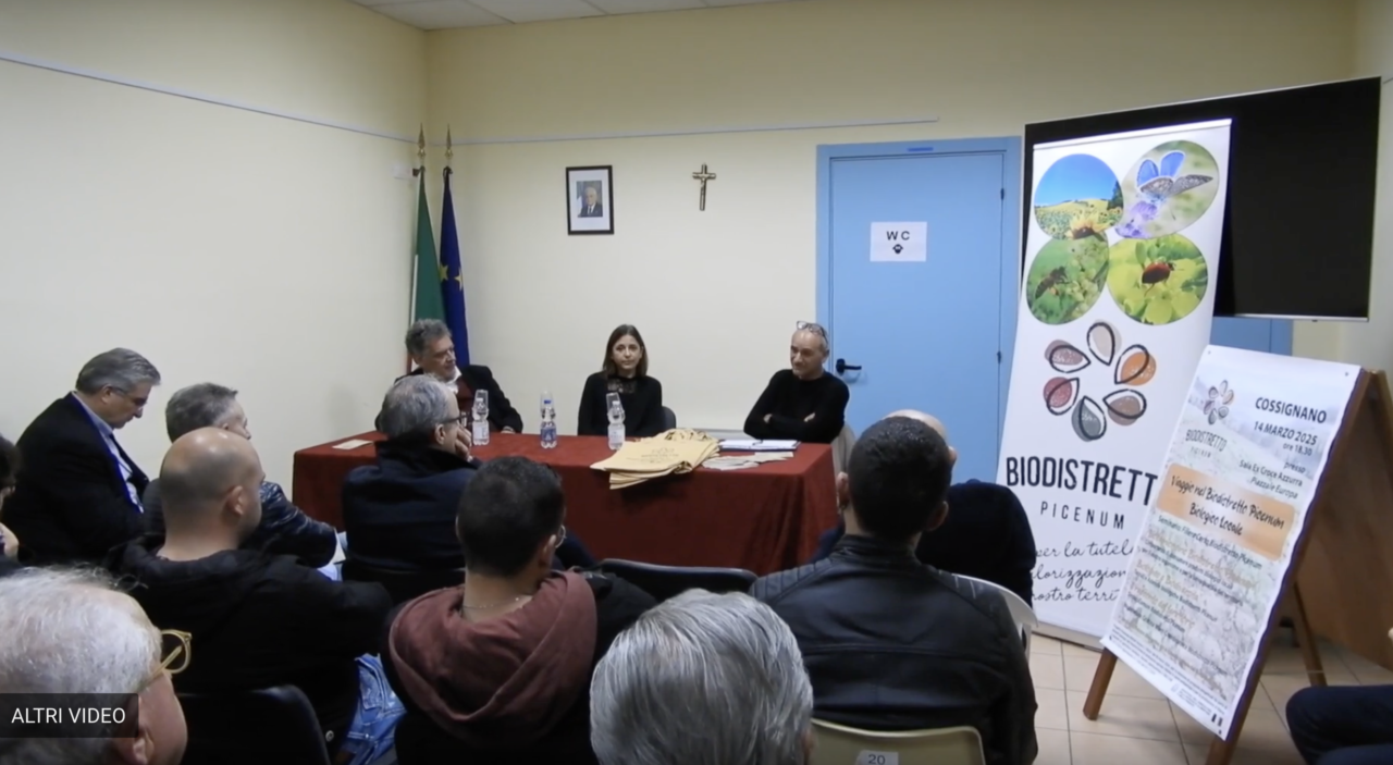 Screenshot 2025-06-25 alle 18.19.42