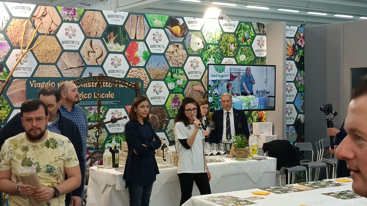 WhatsApp Image 2025-03-10 at 09.12.34