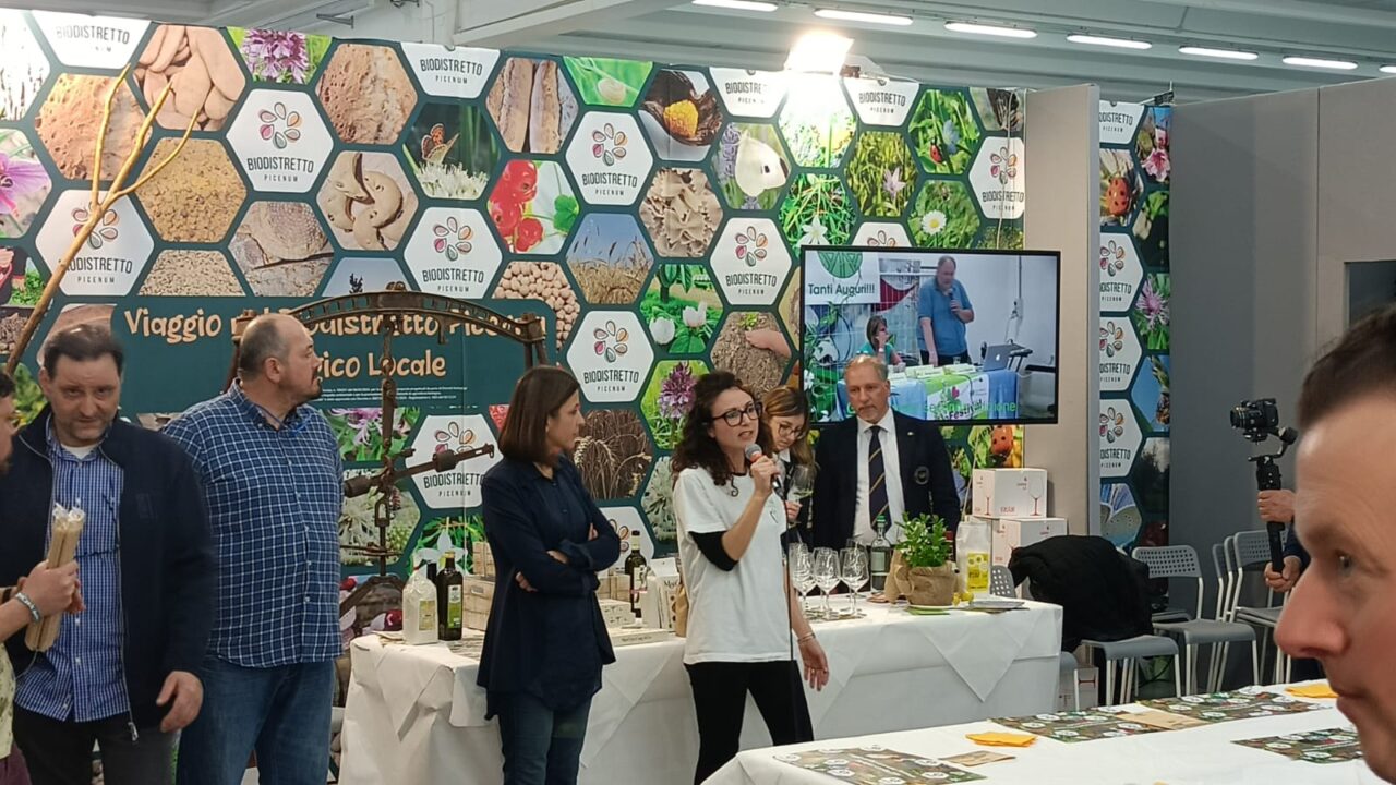 WhatsApp Image 2025-03-10 at 09.12.35