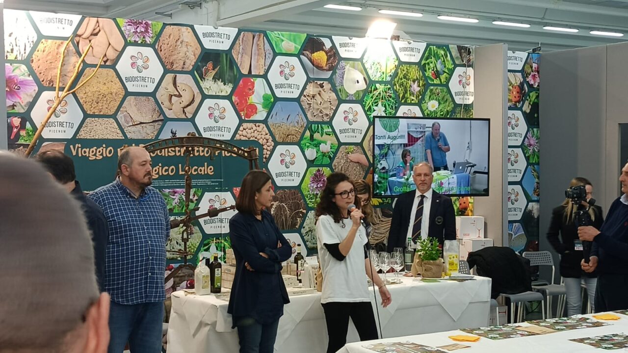 WhatsApp Image 2025-03-10 at 09.12.35 (2)