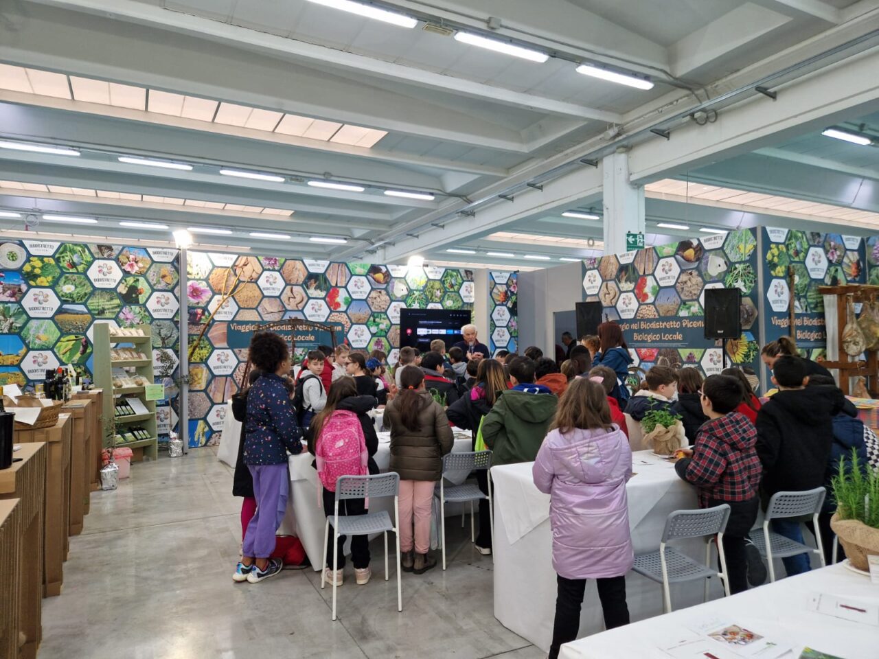 WhatsApp Image 2025-03-10 at 09.12.35_