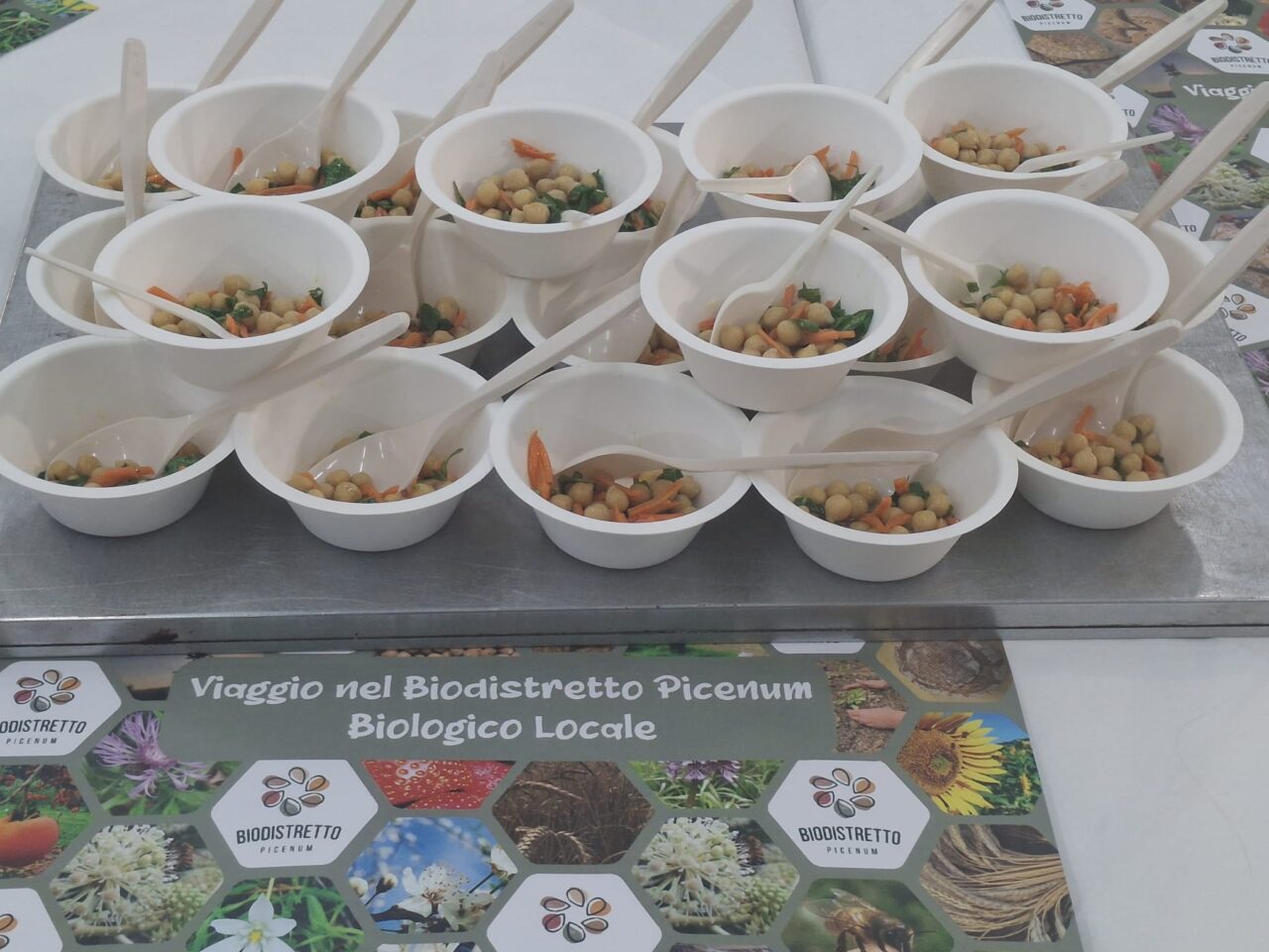 WhatsApp Image 2025-03-10 at 09.13.20_