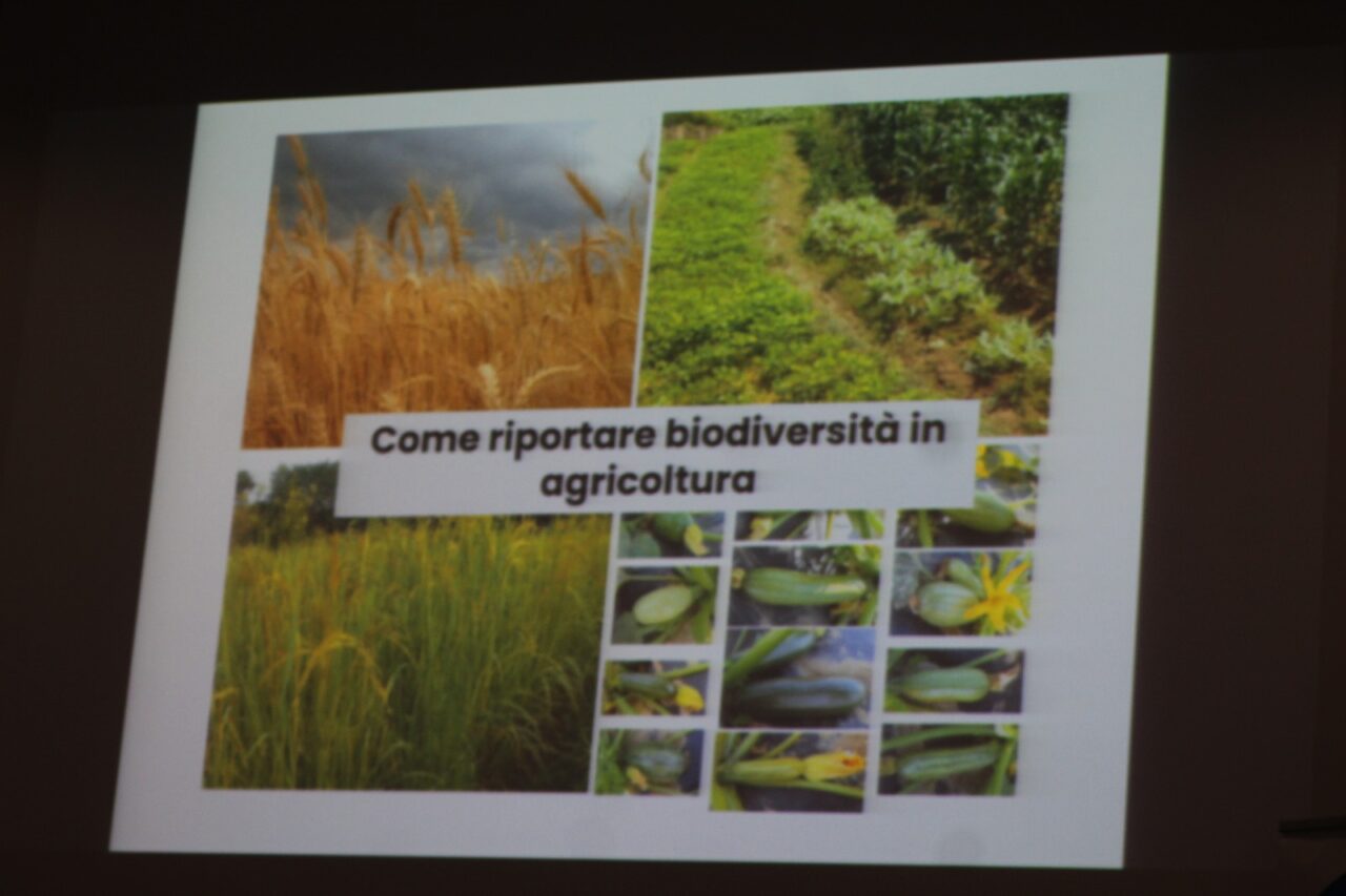 WhatsApp Image 2025-03-10 at 17.41.05 (2)