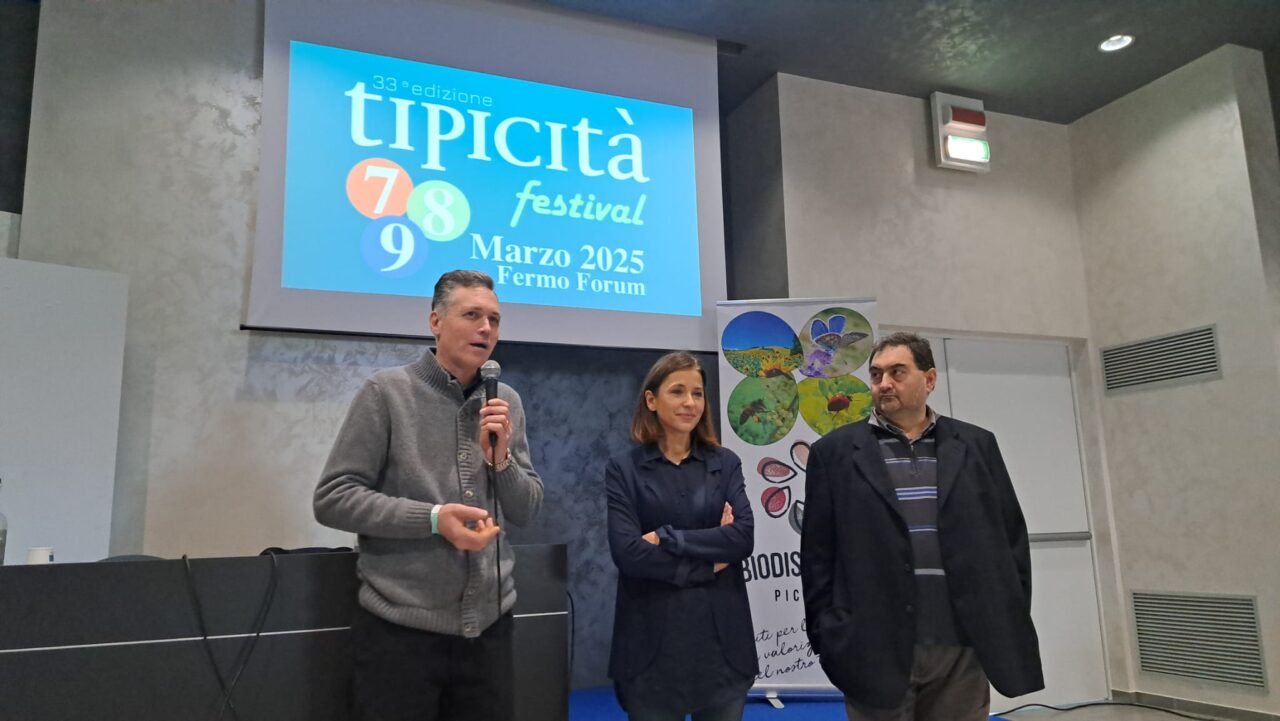 WhatsApp Image 2025-03-10 at 17.41.08 (2)