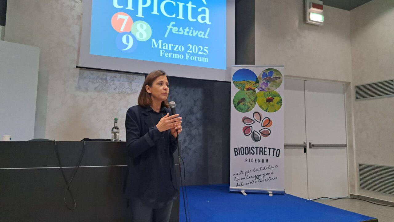 WhatsApp Image 2025-03-10 at 17.41.09