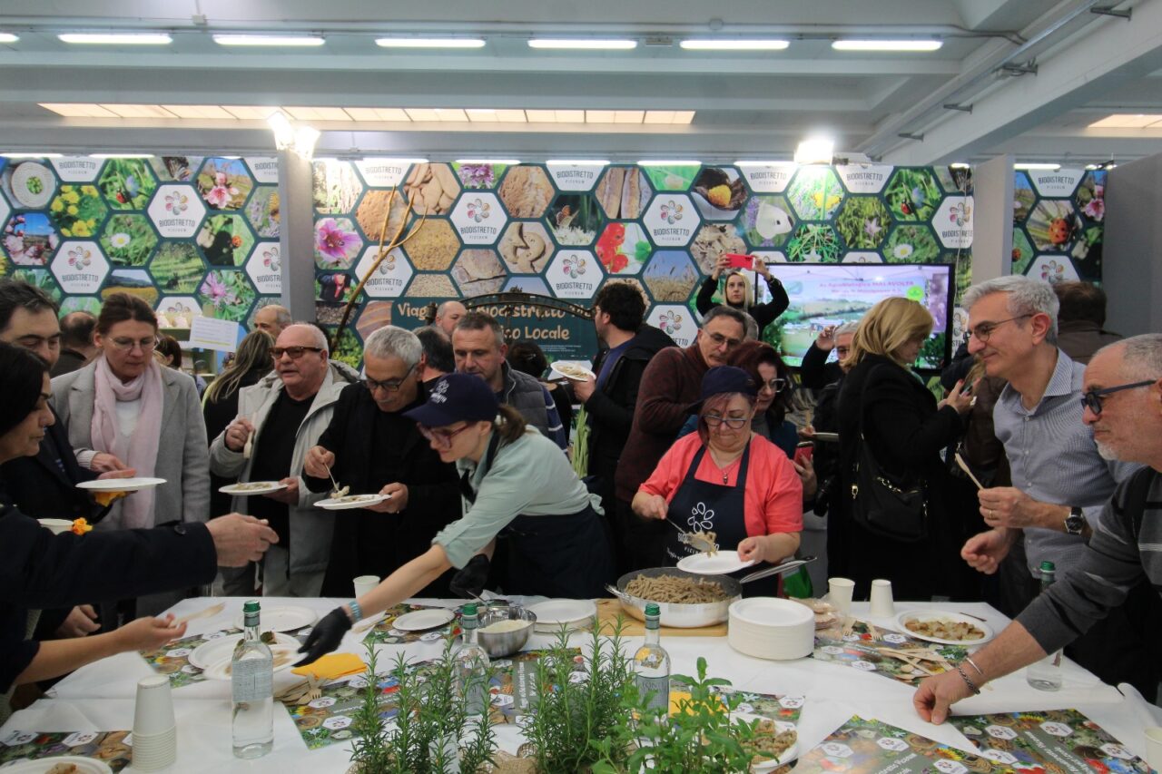 WhatsApp Image 2025-03-10 at 17.44.23