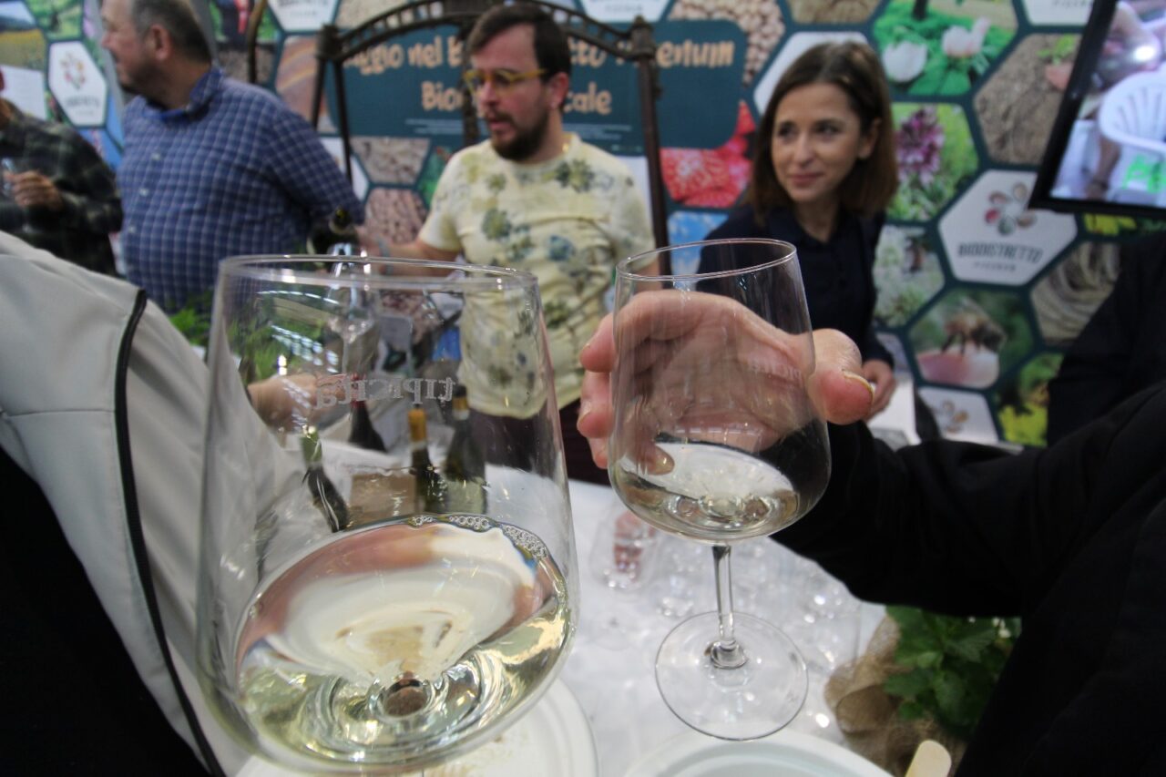 WhatsApp Image 2025-03-10 at 17.44.24