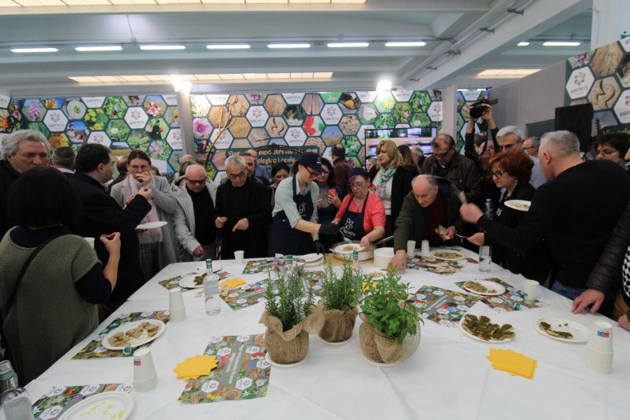 WhatsApp Image 2025-03-10 at 17.44.25 (1)