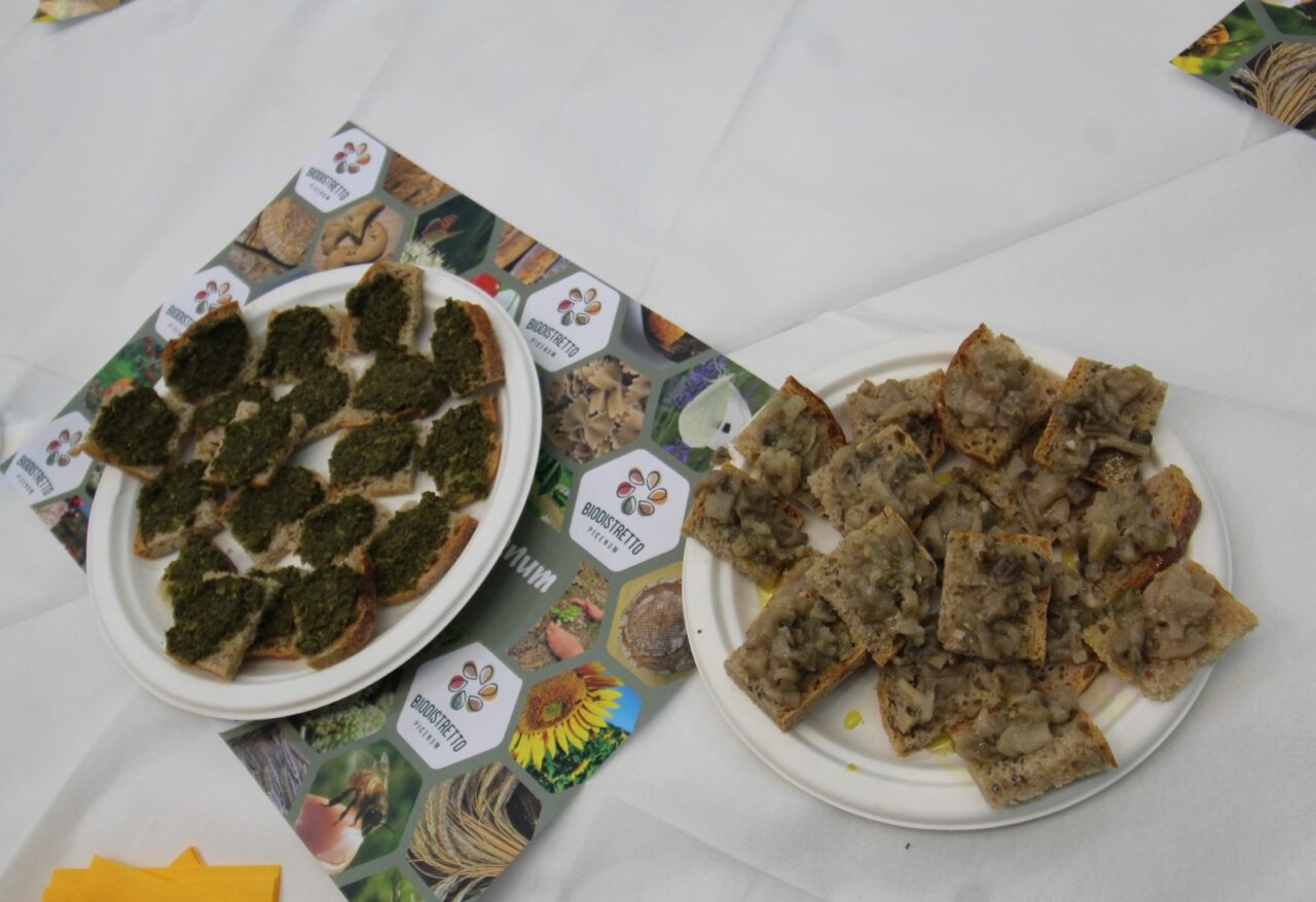 WhatsApp Image 2025-03-10 at 17.44.25 (2)