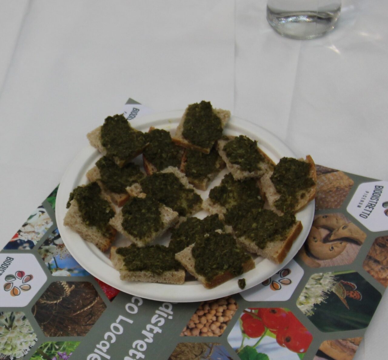 WhatsApp Image 2025-03-10 at 17.44.25 (3)