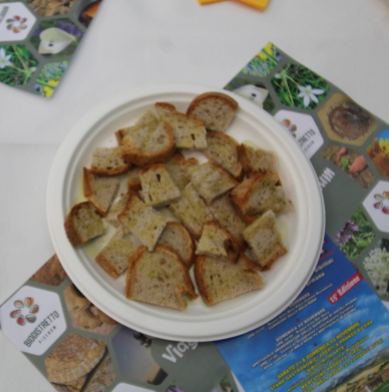 WhatsApp Image 2025-03-10 at 17.44.26