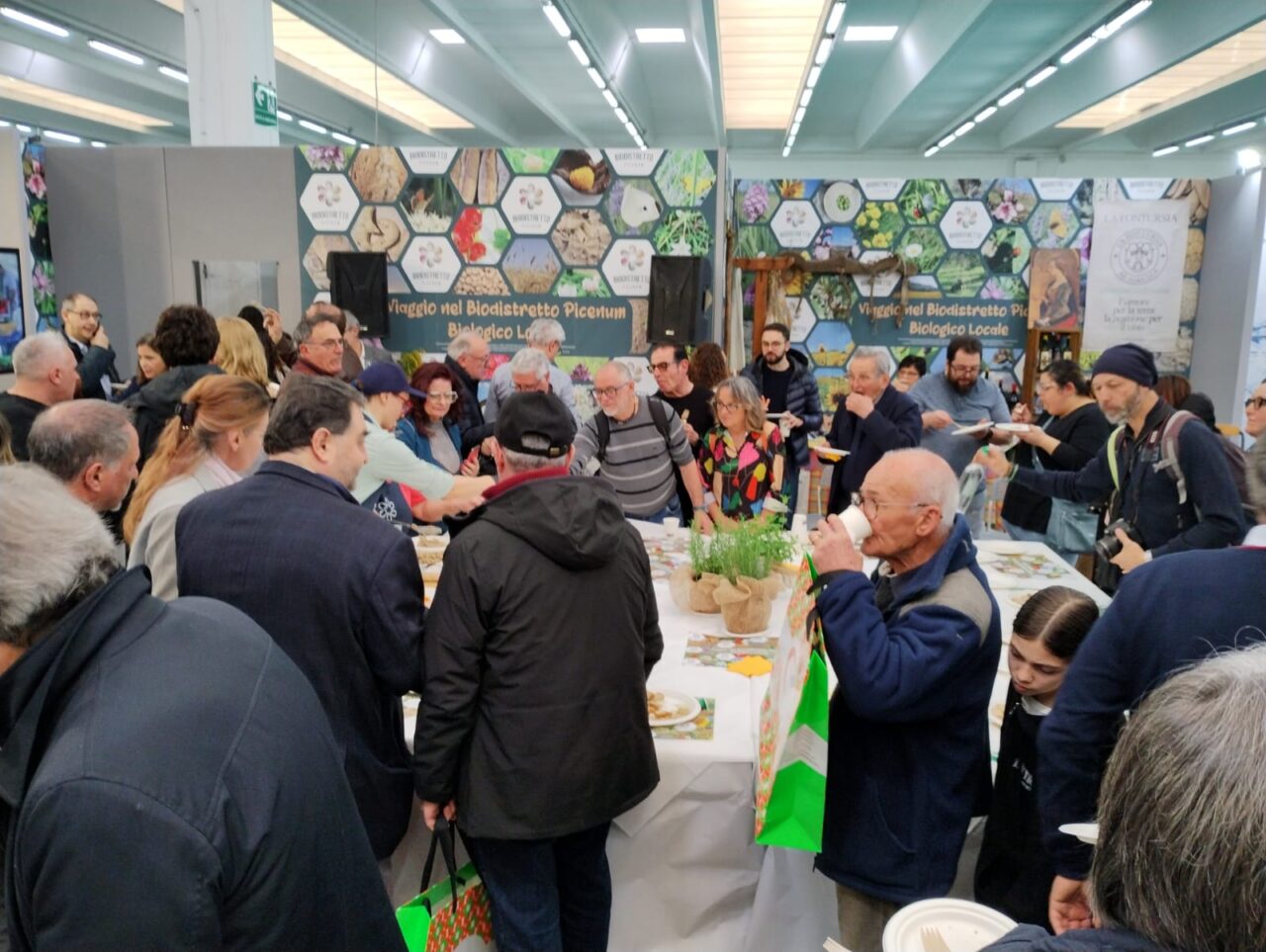 WhatsApp Image 2025-03-10 at 17.44.26 (2)