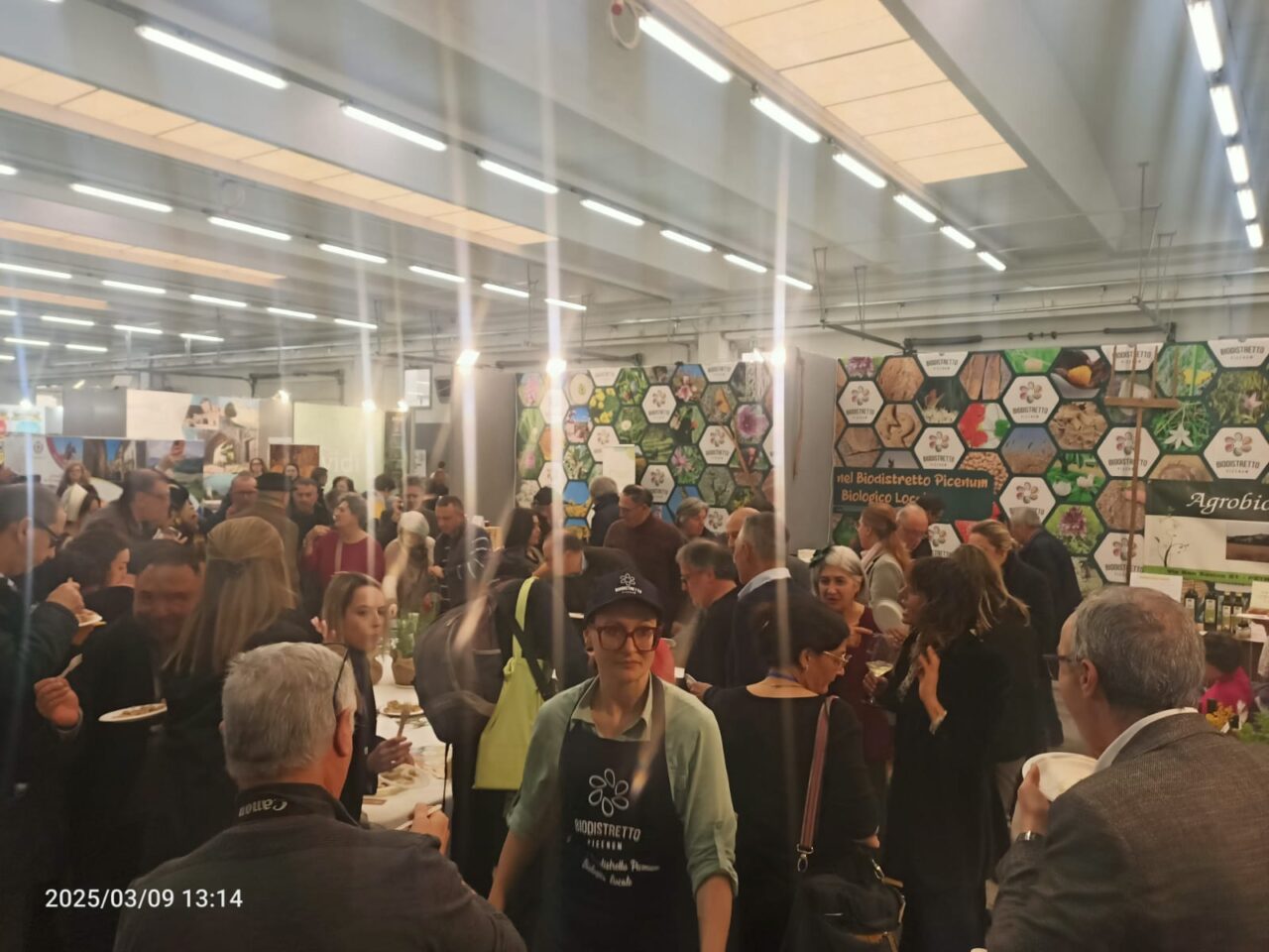 WhatsApp Image 2025-03-10 at 17.44.26 (3)