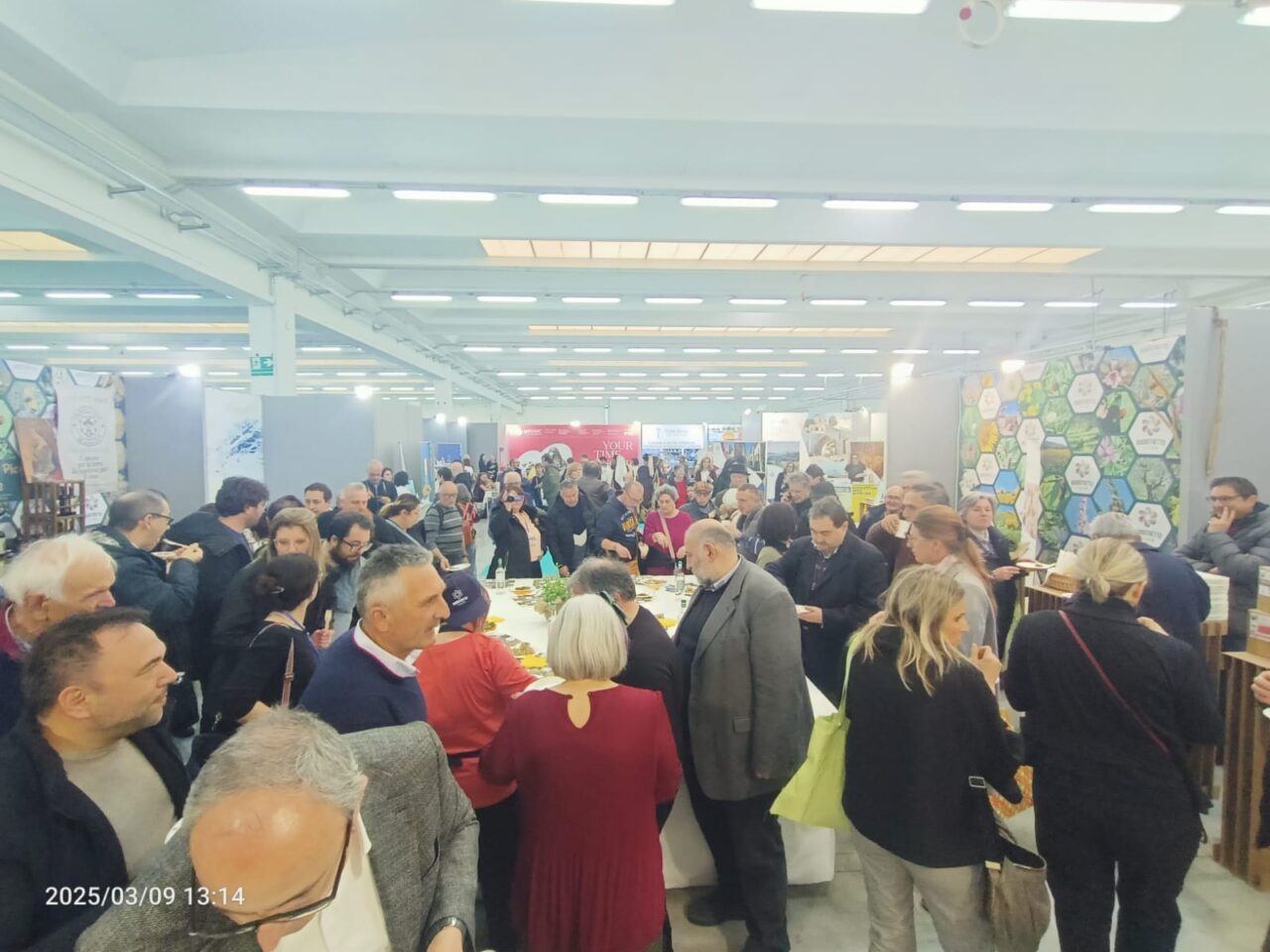 WhatsApp Image 2025-03-10 at 17.44.27 (1)