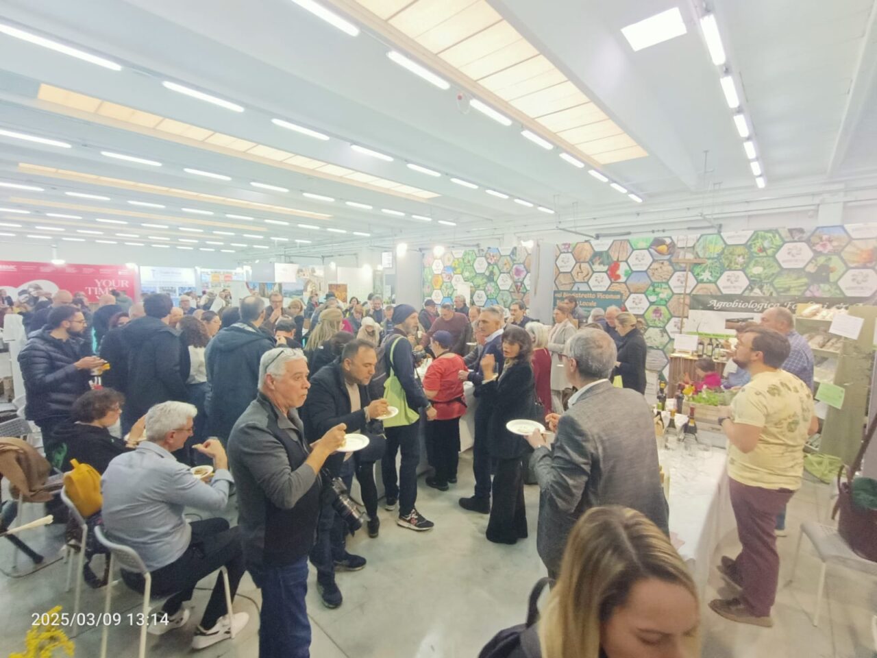 WhatsApp Image 2025-03-10 at 17.44.27 (3)