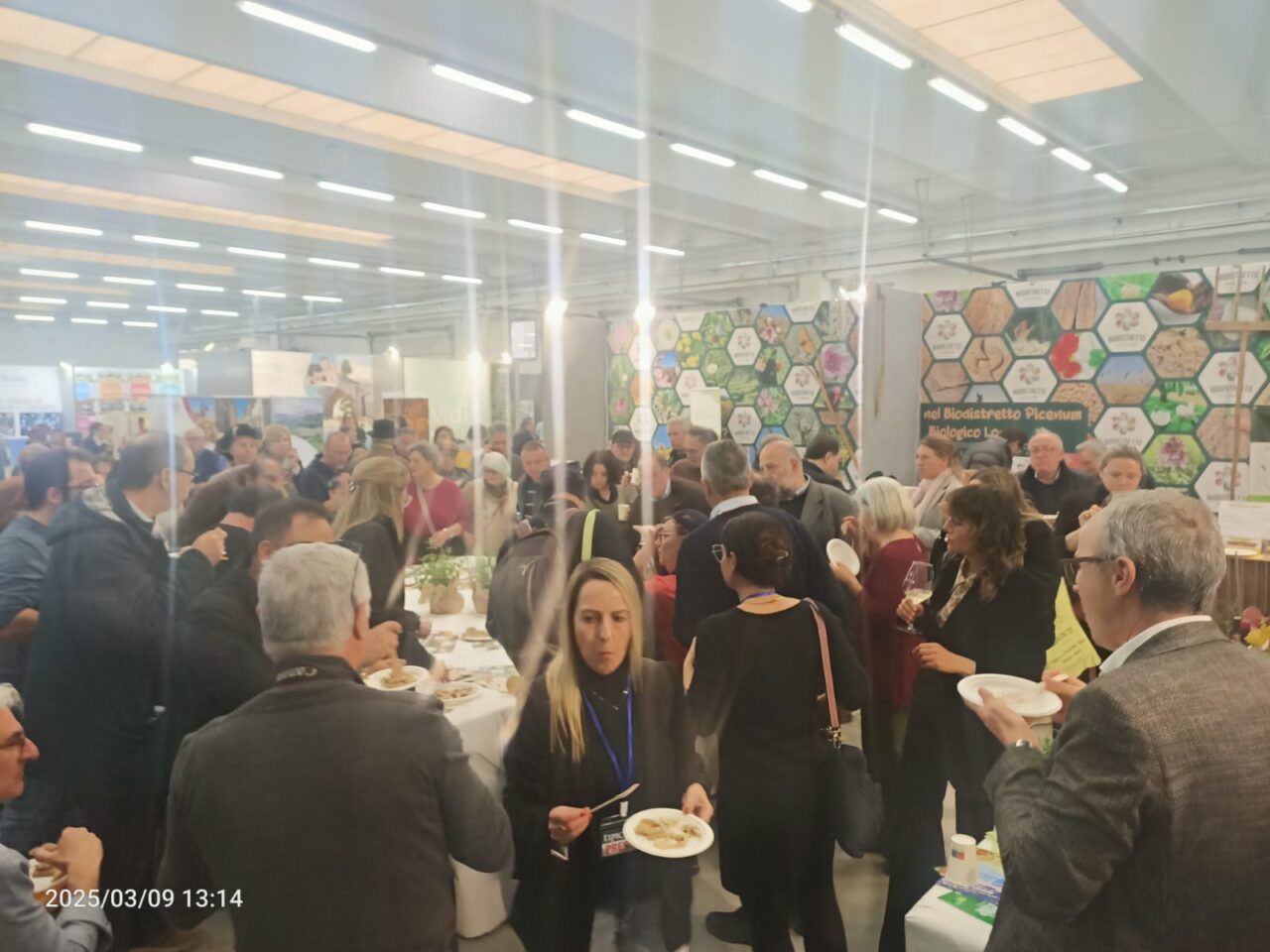 WhatsApp Image 2025-03-10 at 17.44.28 (1)