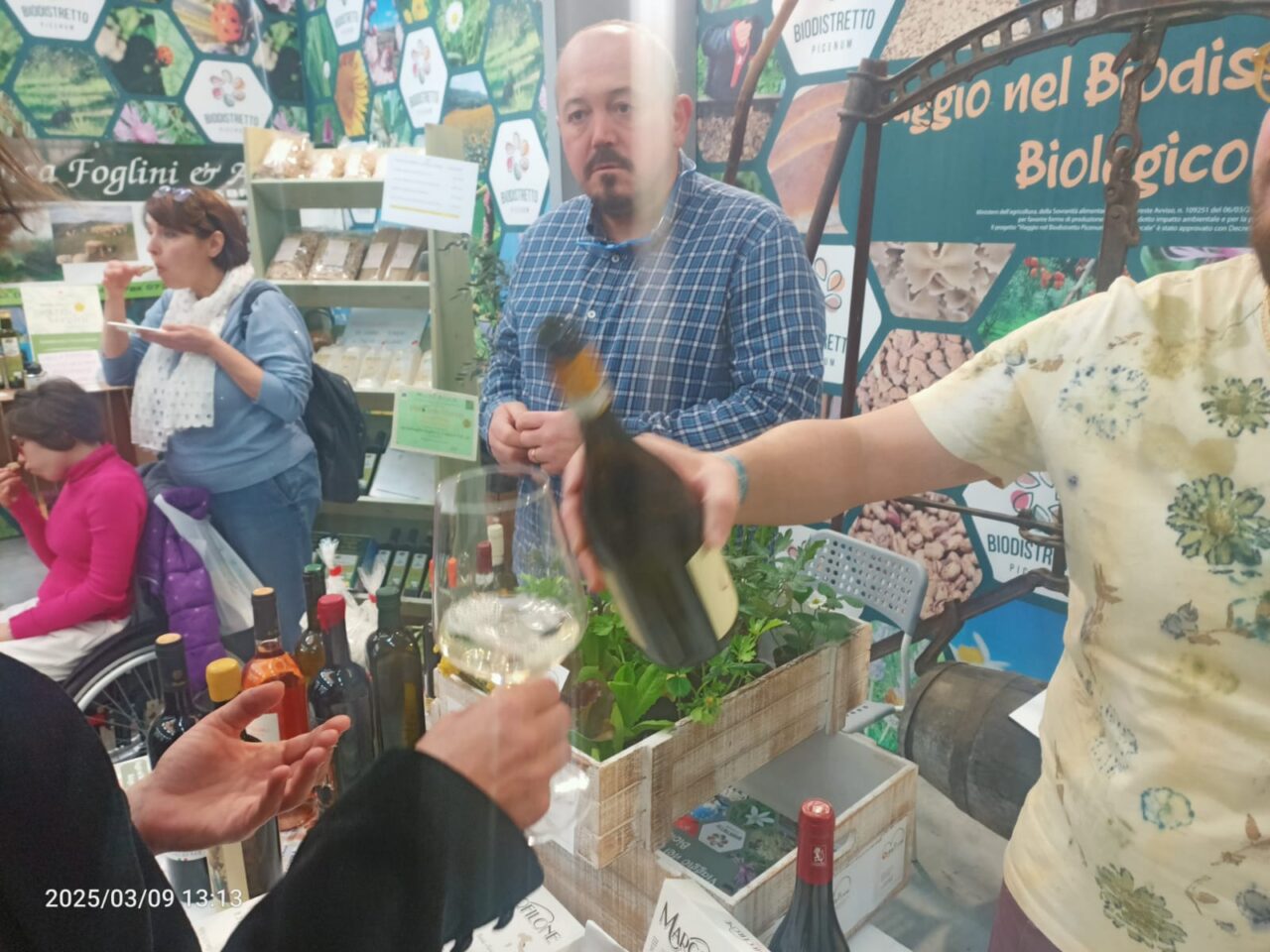 WhatsApp Image 2025-03-10 at 17.44.28 (2)