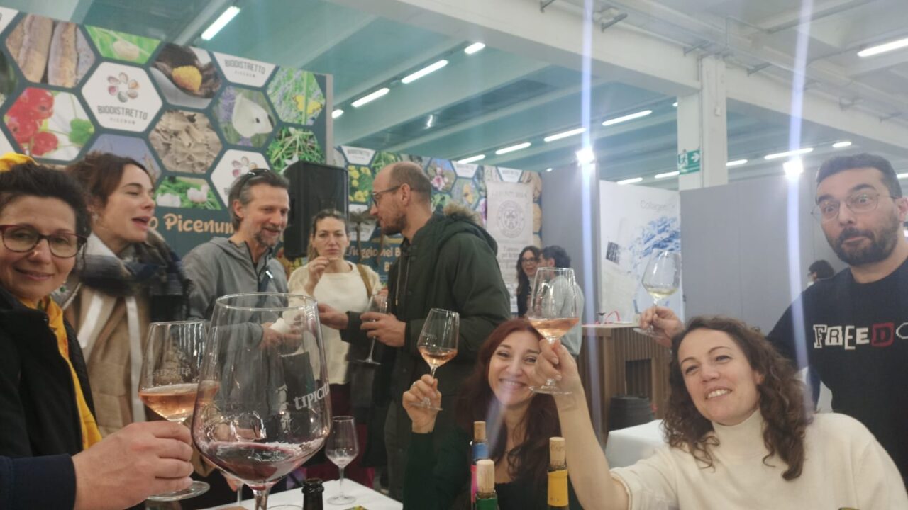 WhatsApp Image 2025-03-10 at 17.48.28