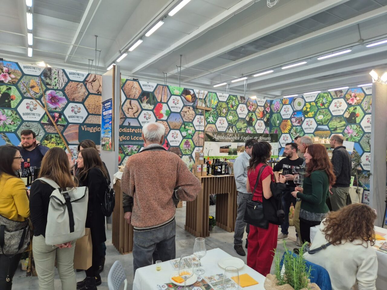 WhatsApp Image 2025-03-10 at 17.54.11 (1)