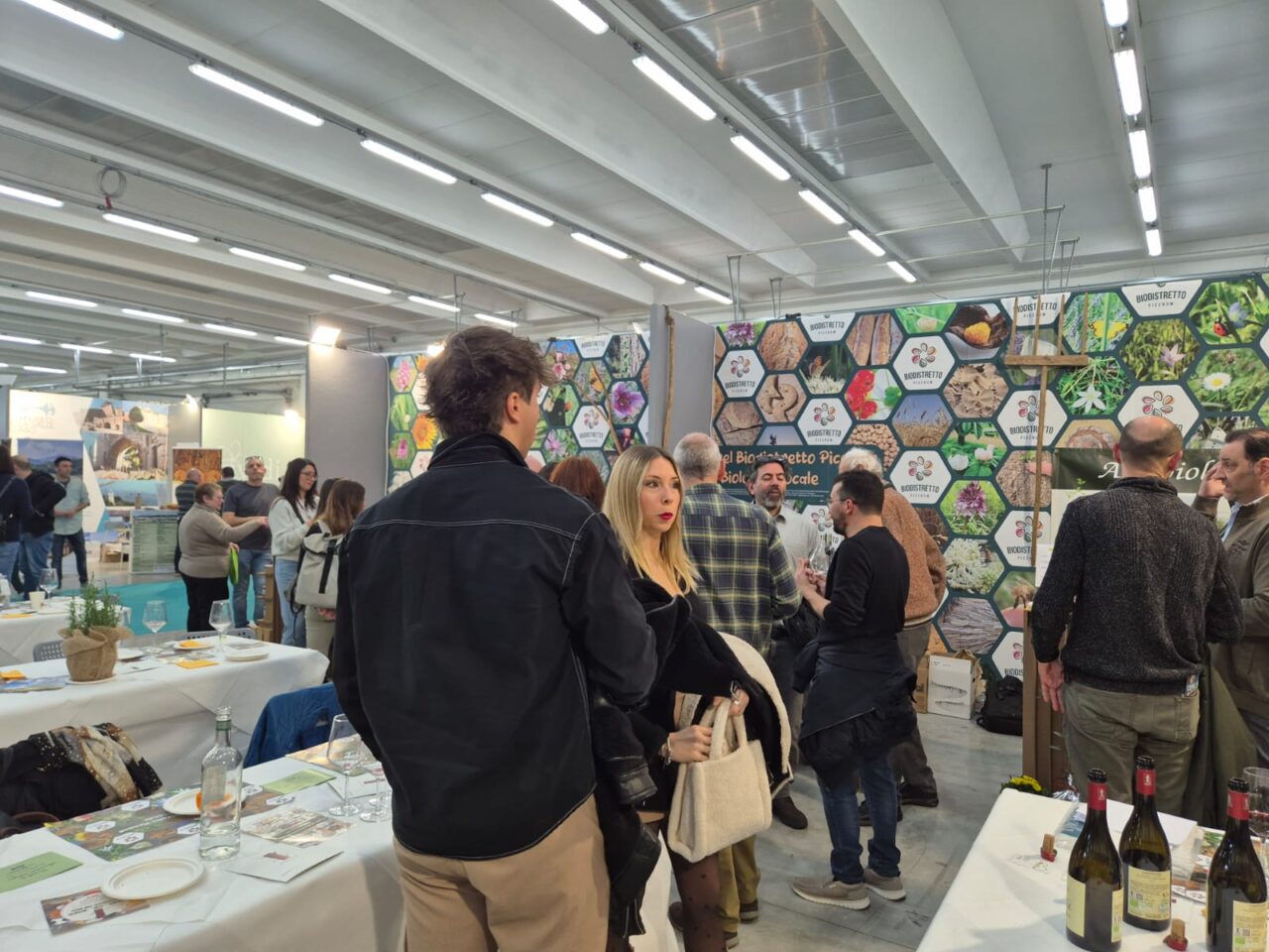 WhatsApp Image 2025-03-10 at 17.54.12 (1)