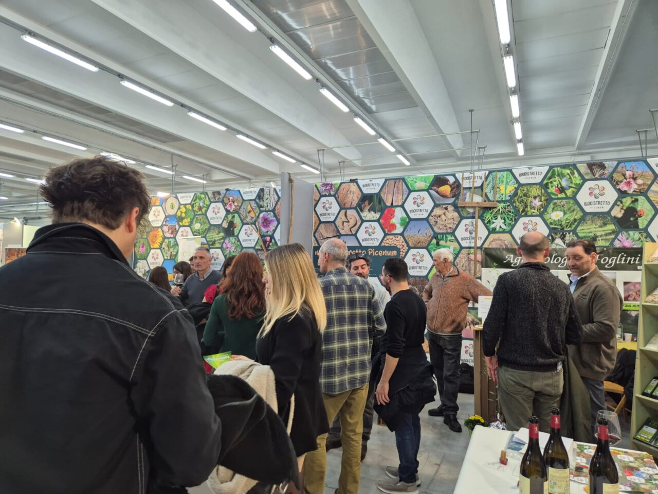 WhatsApp Image 2025-03-10 at 17.54.12