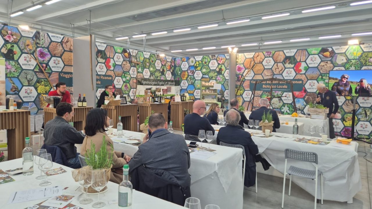 WhatsApp Image 2025-03-10 at 17.55.40 (1)