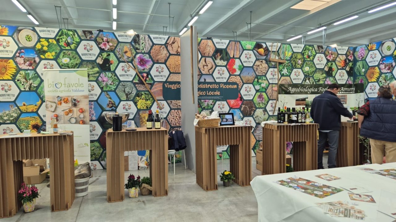 WhatsApp Image 2025-03-10 at 17.55.41 (1)