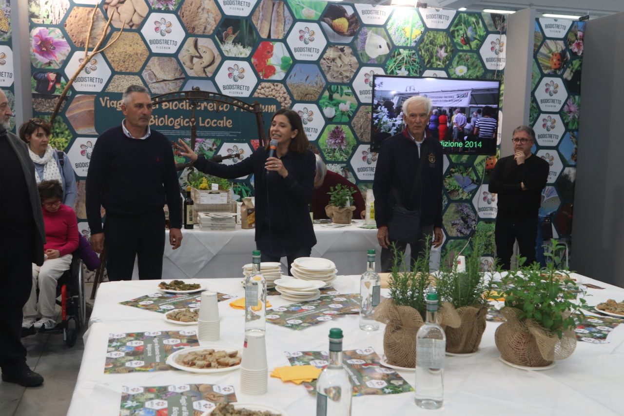 WhatsApp Image 2025-03-31 at 18.59.04