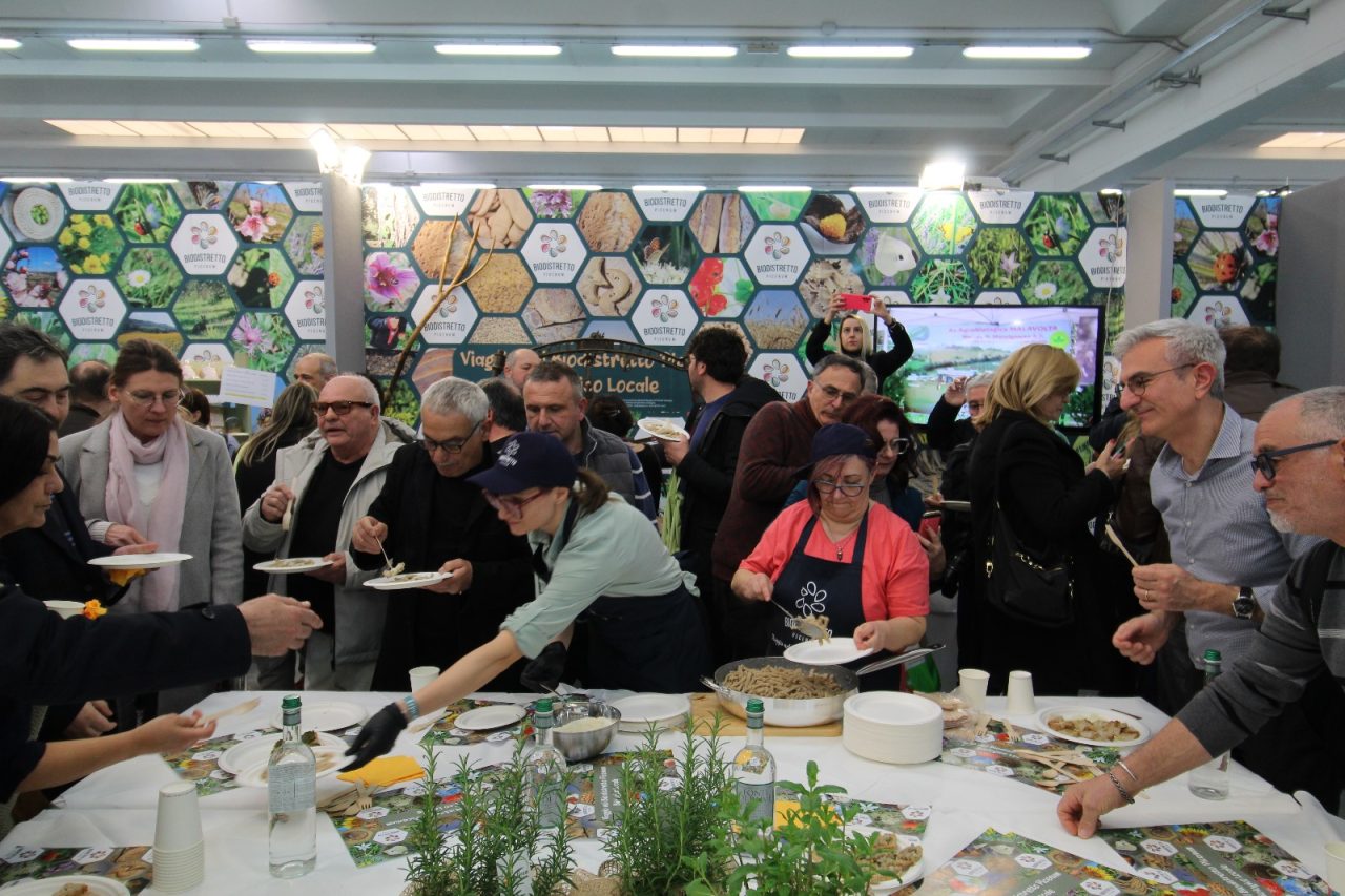 WhatsApp Image 2025-03-31 at 19.51.37