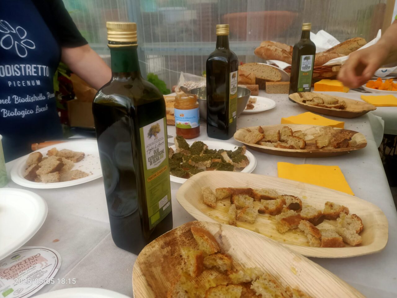 WhatsApp Imasge 2025-05-06 at 10.41.12