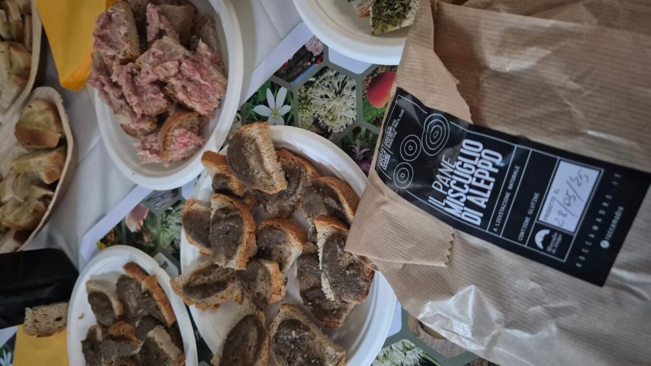 WhatsApp Image 2025-05-30 at 07.51.50 (4)